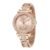 Giordano Luxury Analog Watch for Women-Diamond Studed